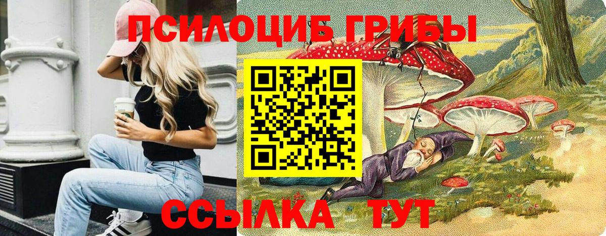 Первоуральск  Псилоцибиновые грибы Psilocybe  Вход с VPN 